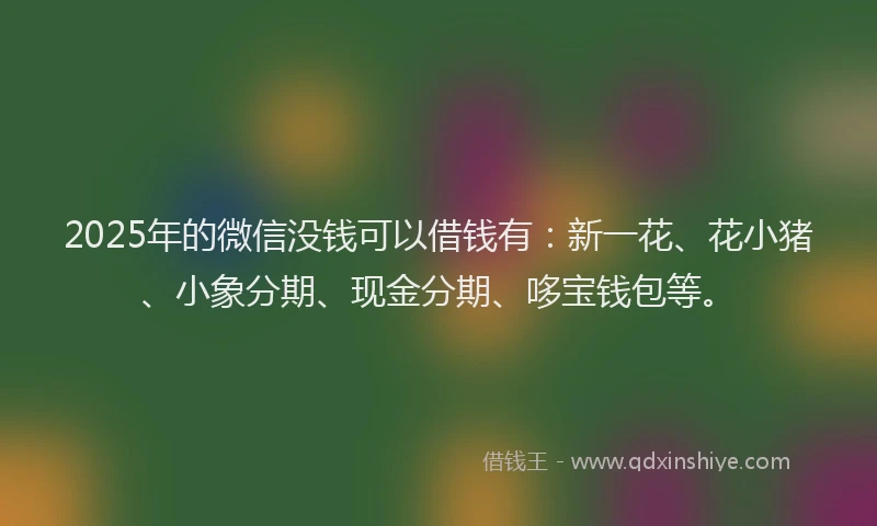 2025年的微信没钱可以借钱有：新一花、花小猪、小象分期、现金分期、哆宝钱包等。