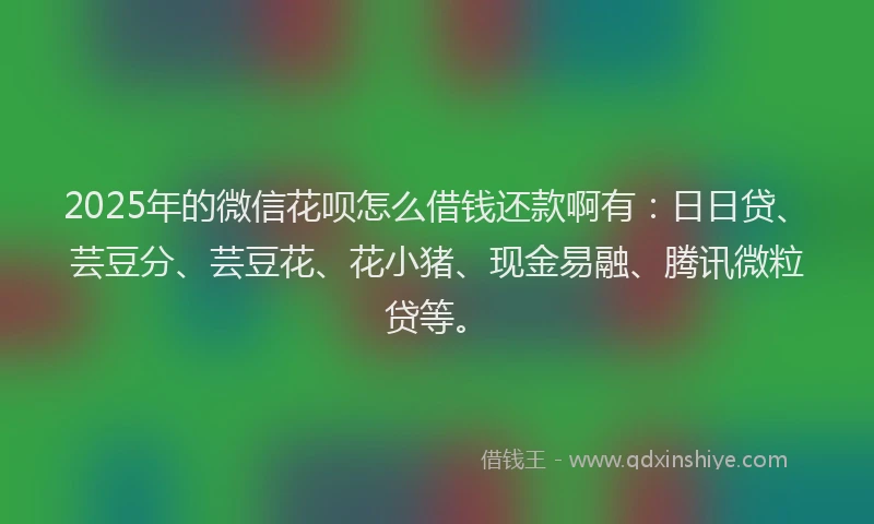 2025年的微信花呗怎么借钱还款啊有：日日贷、芸豆分、芸豆花、花小猪、现金易融、腾讯微粒贷等。