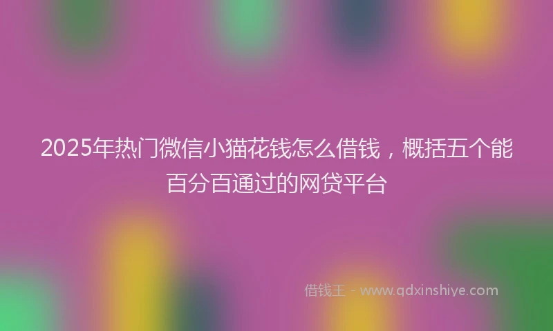2025年热门微信小猫花钱怎么借钱，概括五个能百分百通过的网贷平台