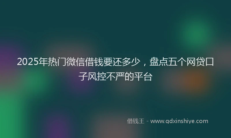 2025年热门微信借钱要还多少，盘点五个网贷口子风控不严的平台