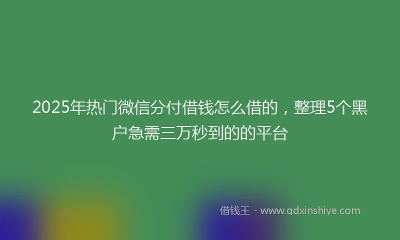 2025年热门微信分付借钱怎么借的，整理5个黑户急需三万秒到的的平台