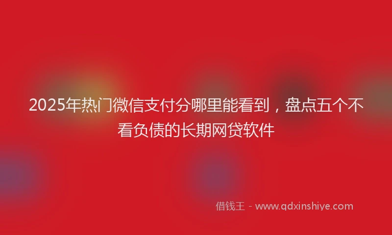 2025年热门微信支付分哪里能看到，盘点五个不看负债的长期网贷软件