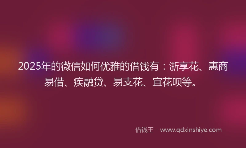 2025年的微信如何优雅的借钱有：浙享花、惠商易借、疾融贷、易支花、宜花呗等。