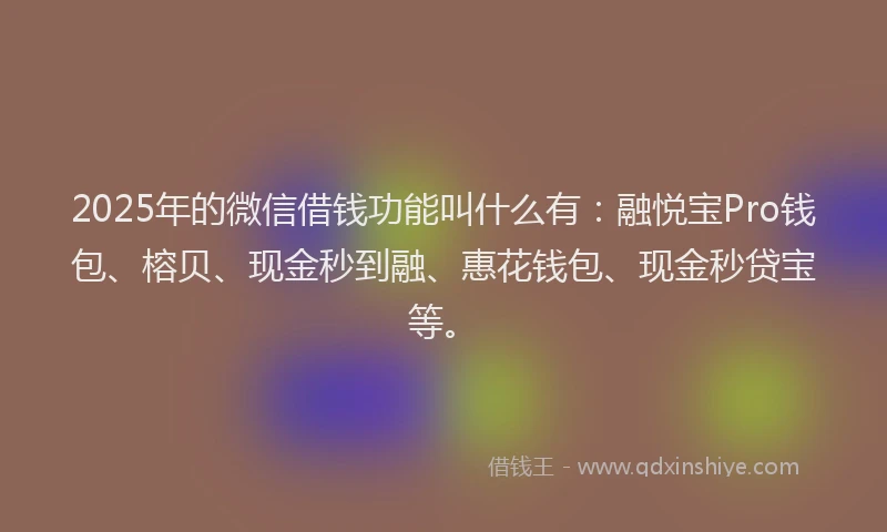 2025年的微信借钱功能叫什么有：融悦宝Pro钱包、榕贝、现金秒到融、惠花钱包、现金秒贷宝等。