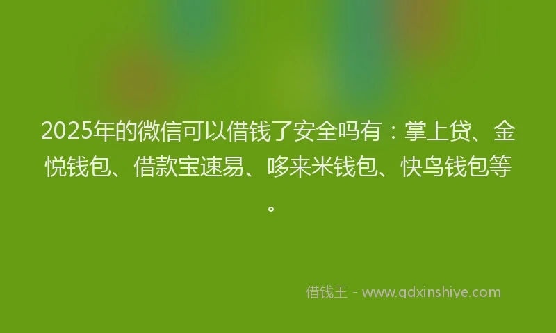 2025年的微信可以借钱了安全吗有：掌上贷、金悦钱包、借款宝速易、哆来米钱包、快鸟钱包等。