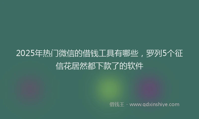2025年热门微信的借钱工具有哪些，罗列5个征信花居然都下款了的软件