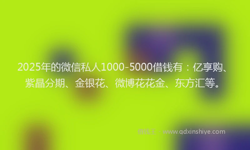 2025年的微信私人1000-5000借钱有：亿享购、紫晶分期、金银花、微博花花金、东方汇等。