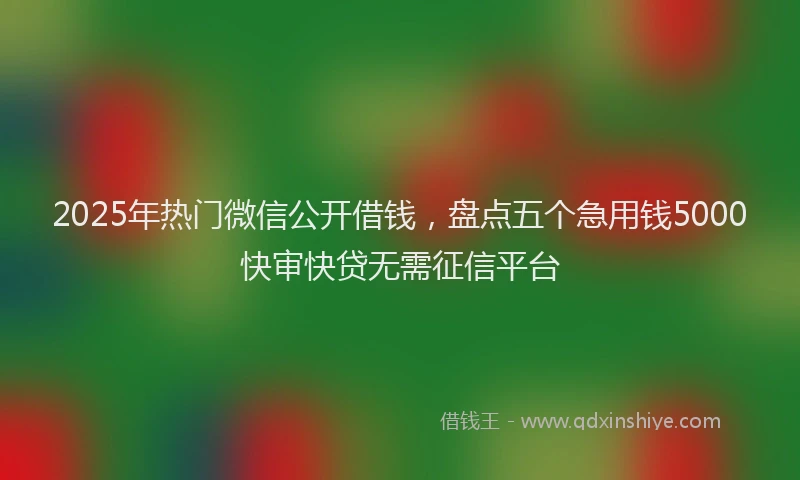 2025年热门微信公开借钱，盘点五个急用钱5000快审快贷无需征信平台