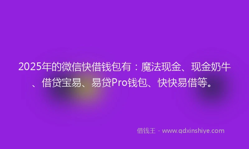 2025年的微信快借钱包有：魔法现金、现金奶牛、借贷宝易、易贷Pro钱包、快快易借等。