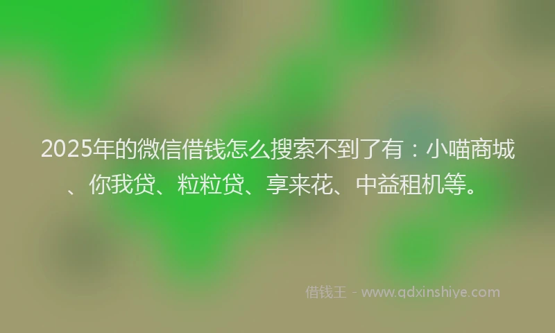 2025年的微信借钱怎么搜索不到了有：小喵商城、你我贷、粒粒贷、享来花、中益租机等。