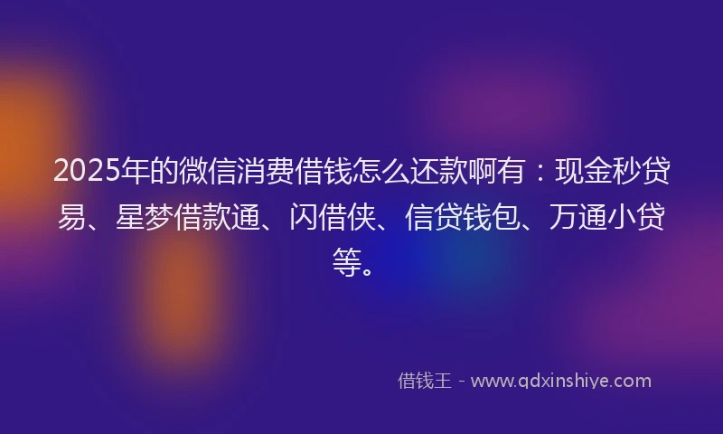 2025年的微信消费借钱怎么还款啊有：现金秒贷易、星梦借款通、闪借侠、信贷钱包、万通小贷等。