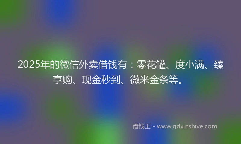 2025年的微信外卖借钱有：零花罐、度小满、臻享购、现金秒到、微米金条等。