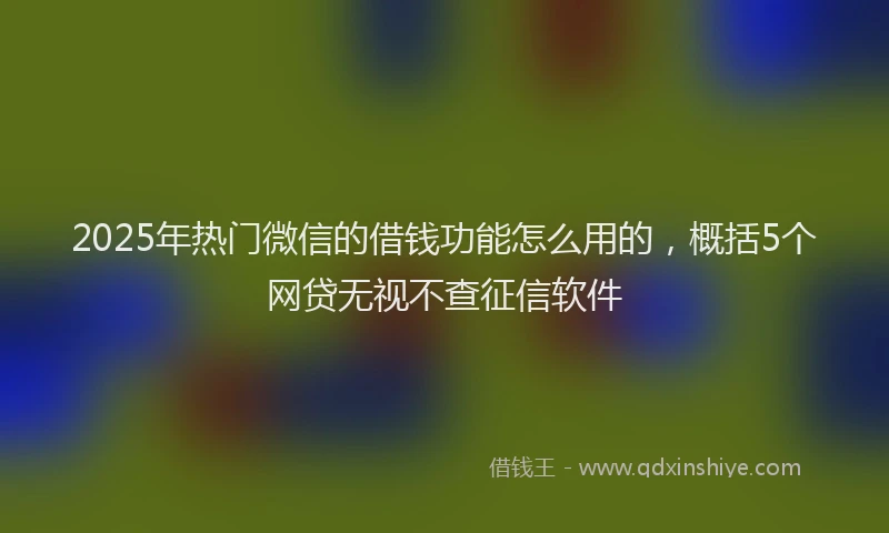2025年热门微信的借钱功能怎么用的，概括5个网贷无视不查征信软件