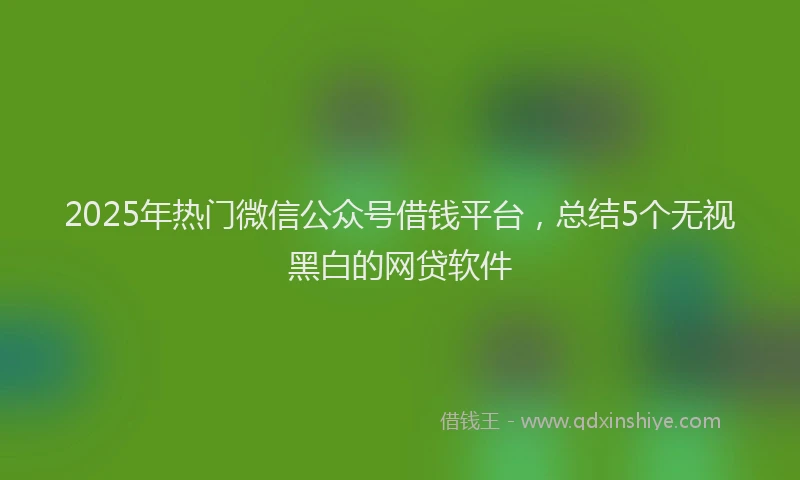 2025年热门微信公众号借钱平台，总结5个无视黑白的网贷软件