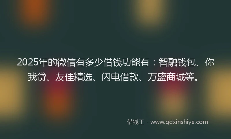 2025年的微信有多少借钱功能有：智融钱包、你我贷、友佳精选、闪电借款、万盛商城等。