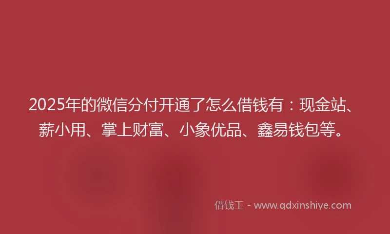 2025年的微信分付开通了怎么借钱有：现金站、薪小用、掌上财富、小象优品、鑫易钱包等。