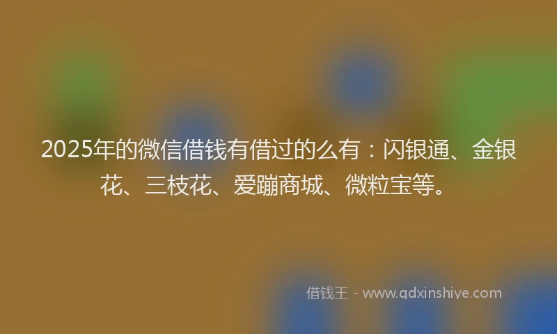 2025年的微信借钱有借过的么有：闪银通、金银花、三枝花、爱蹦商城、微粒宝等。