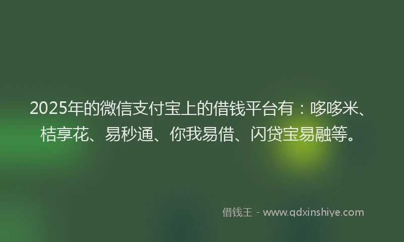 2025年的微信支付宝上的借钱平台有：哆哆米、桔享花、易秒通、你我易借、闪贷宝易融等。
