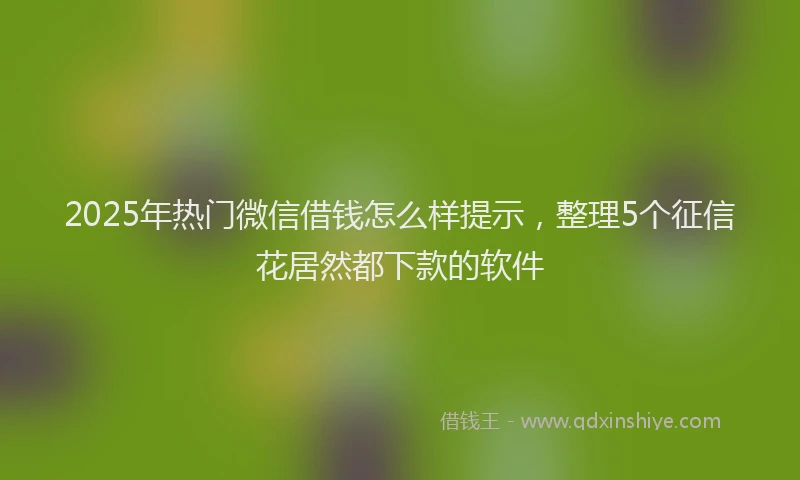 2025年热门微信借钱怎么样提示，整理5个征信花居然都下款的软件