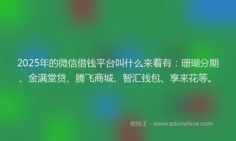 2025年的微信借钱平台叫什么来着有：珊瑚分期、金满堂贷、腾飞商城、智汇钱包、享来花等。