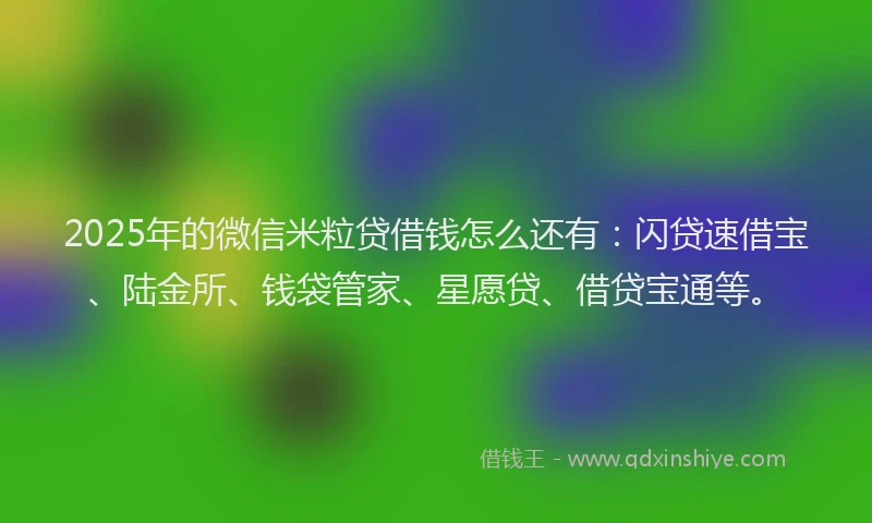 2025年的微信米粒贷借钱怎么还有：闪贷速借宝、陆金所、钱袋管家、星愿贷、借贷宝通等。