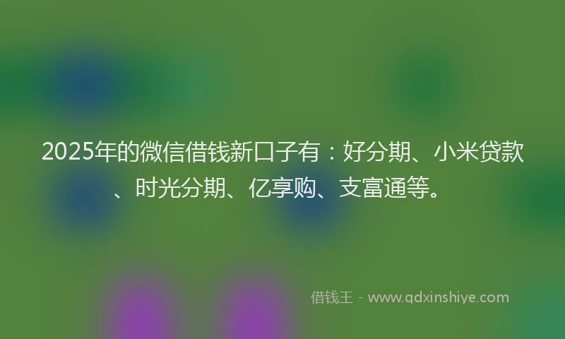 2025年的微信借钱新口子有：好分期、小米贷款、时光分期、亿享购、支富通等。