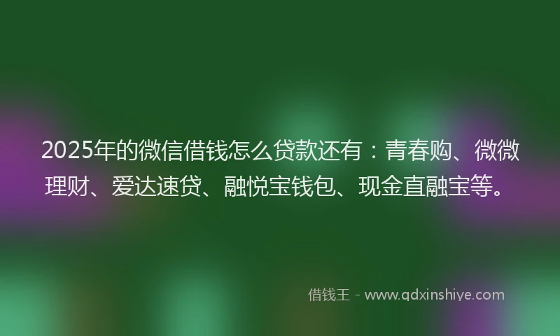 2025年的微信借钱怎么贷款还有：青春购、微微理财、爱达速贷、融悦宝钱包、现金直融宝等。