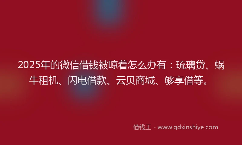 2025年的微信借钱被晾着怎么办有：琉璃贷、蜗牛租机、闪电借款、云贝商城、够享借等。