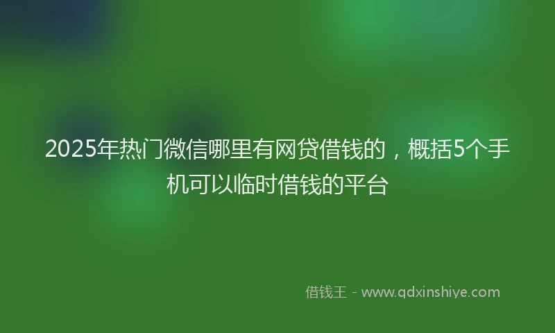 2025年热门微信哪里有网贷借钱的，概括5个手机可以临时借钱的平台