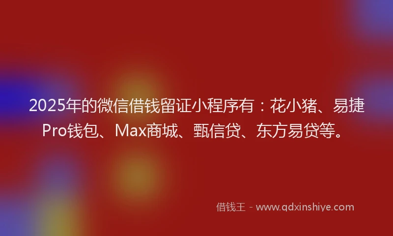 2025年的微信借钱留证小程序有：花小猪、易捷Pro钱包、Max商城、甄信贷、东方易贷等。