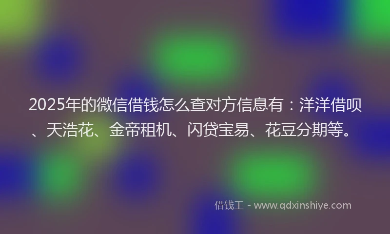2025年的微信借钱怎么查对方信息有：洋洋借呗、天浩花、金帝租机、闪贷宝易、花豆分期等。