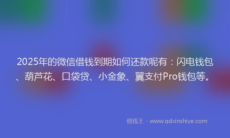 2025年的微信借钱到期如何还款呢有：闪电钱包、葫芦花、口袋贷、小金象、翼支付Pro钱包等。