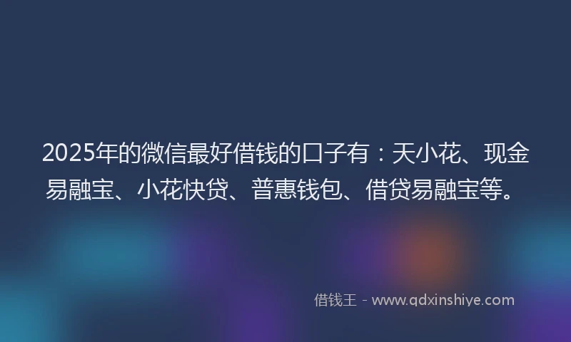 2025年的微信最好借钱的口子有：天小花、现金易融宝、小花快贷、普惠钱包、借贷易融宝等。