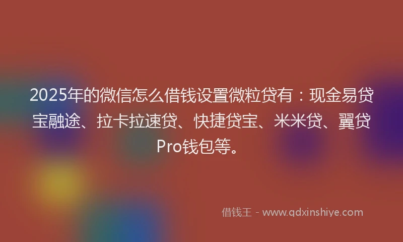 2025年的微信怎么借钱设置微粒贷有：现金易贷宝融途、拉卡拉速贷、快捷贷宝、米米贷、翼贷Pro钱包等。