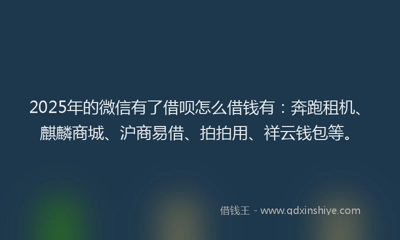 2025年的微信有了借呗怎么借钱有：奔跑租机、麒麟商城、沪商易借、拍拍用、祥云钱包等。