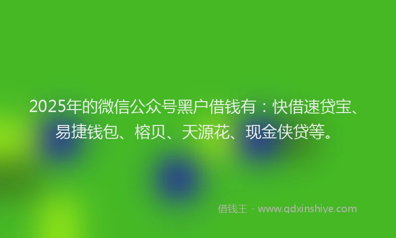 2025年的微信公众号黑户借钱有：快借速贷宝、易捷钱包、榕贝、天源花、现金侠贷等。
