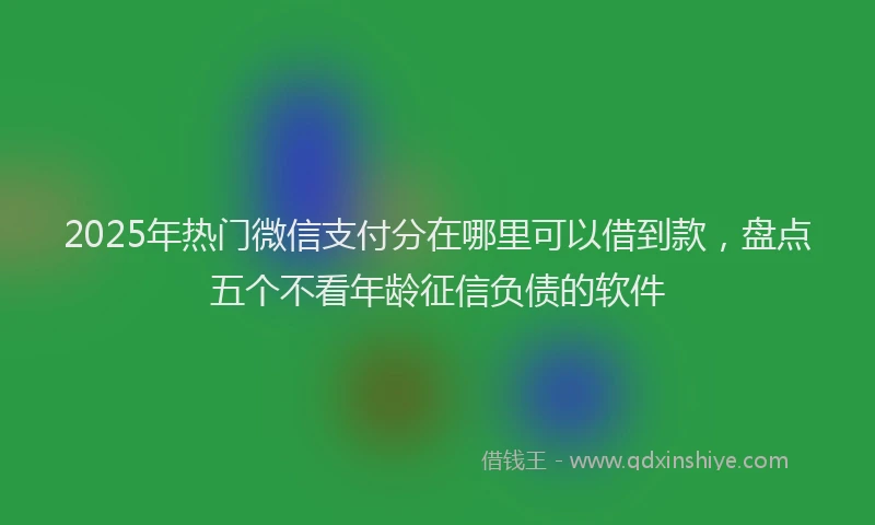 2025年热门微信支付分在哪里可以借到款，盘点五个不看年龄征信负债的软件