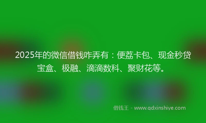 2025年的微信借钱咋弄有：便荔卡包、现金秒贷宝盒、极融、滴滴数科、聚财花等。