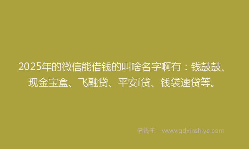 2025年的微信能借钱的叫啥名字啊有：钱鼓鼓、现金宝盒、飞融贷、平安i贷、钱袋速贷等。