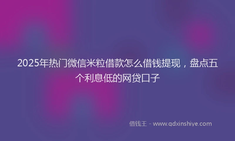 2025年热门微信米粒借款怎么借钱提现，盘点五个利息低的网贷口子