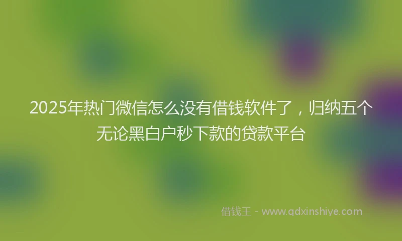 2025年热门微信怎么没有借钱软件了，归纳五个无论黑白户秒下款的贷款平台