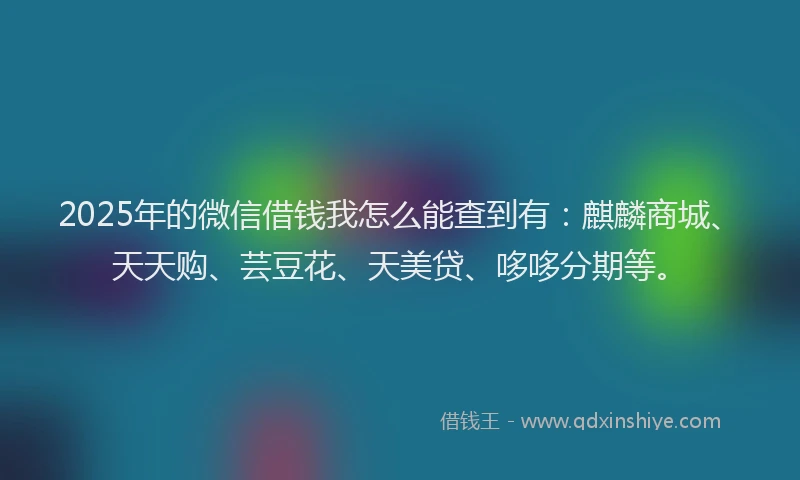 2025年的微信借钱我怎么能查到有：麒麟商城、天天购、芸豆花、天美贷、哆哆分期等。