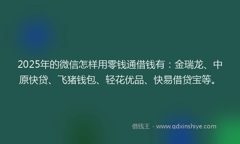 2025年的微信怎样用零钱通借钱有：金瑞龙、中原快贷、飞猪钱包、轻花优品、快易借贷宝等。
