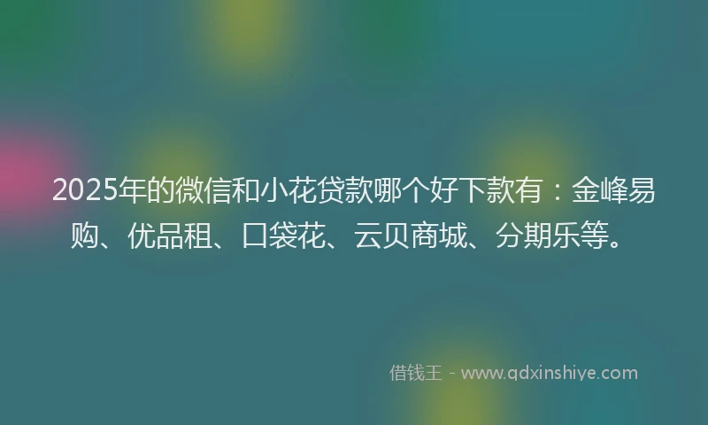 2025年的微信和小花贷款哪个好下款有：金峰易购、优品租、口袋花、云贝商城、分期乐等。