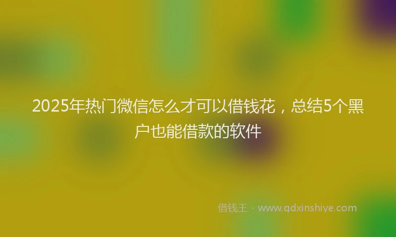 2025年热门微信怎么才可以借钱花，总结5个黑户也能借款的软件