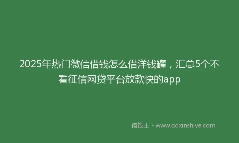 2025年热门微信借钱怎么借洋钱罐，汇总5个不看征信网贷平台放款快的app