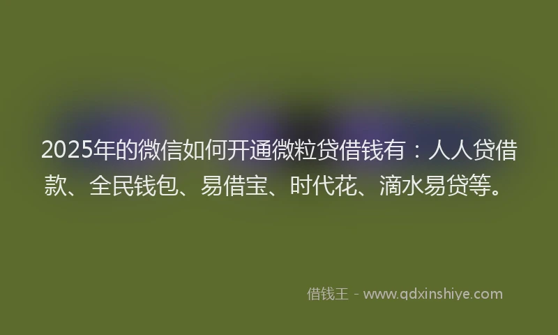 2025年的微信如何开通微粒贷借钱有：人人贷借款、全民钱包、易借宝、时代花、滴水易贷等。