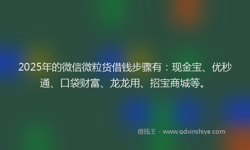2025年的微信微粒货借钱步骤有：现金宝、优秒通、口袋财富、龙龙用、招宝商城等。