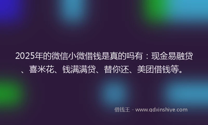 2025年的微信小微借钱是真的吗有：现金易融贷、喜米花、钱满满贷、替你还、美团借钱等。