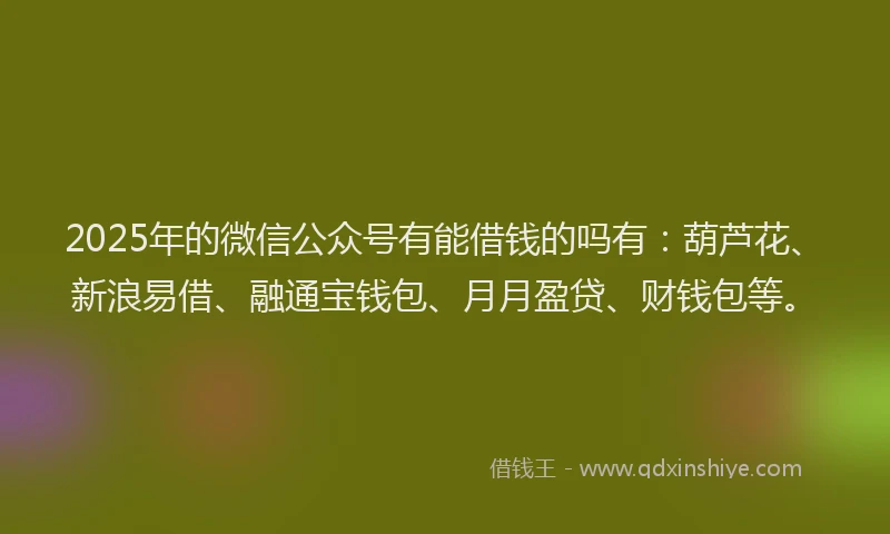 2025年的微信公众号有能借钱的吗有：葫芦花、新浪易借、融通宝钱包、月月盈贷、财钱包等。